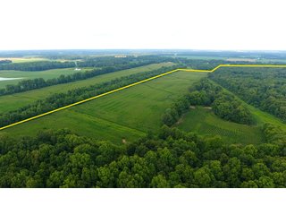 TRACT 17 - ILLINOIS LAND AUCTION - 4,810+/- ACRES OFFERED IN 85 TRACTS IN FRANKLIN, WILLIAMSON, HAMILTON & SALINE COUNTIES, ILLINOIS